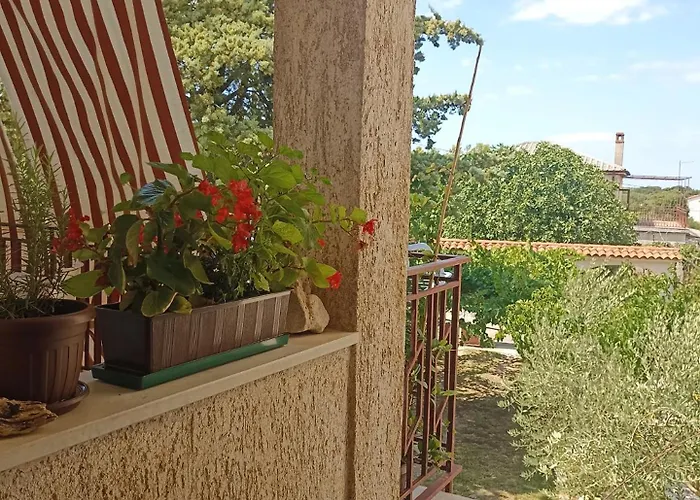 Laura Appartement